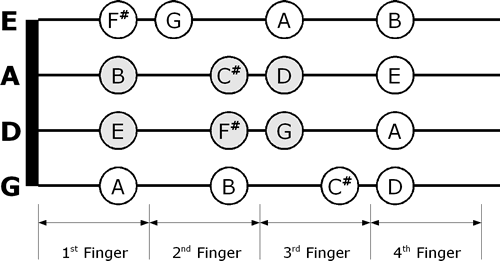 D Major violin fingering chart
